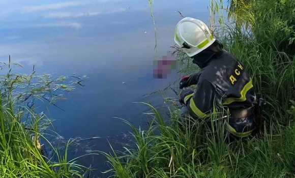 У Браїлові на Жмеринщині у ставку знайшли тіло мертвої жінки