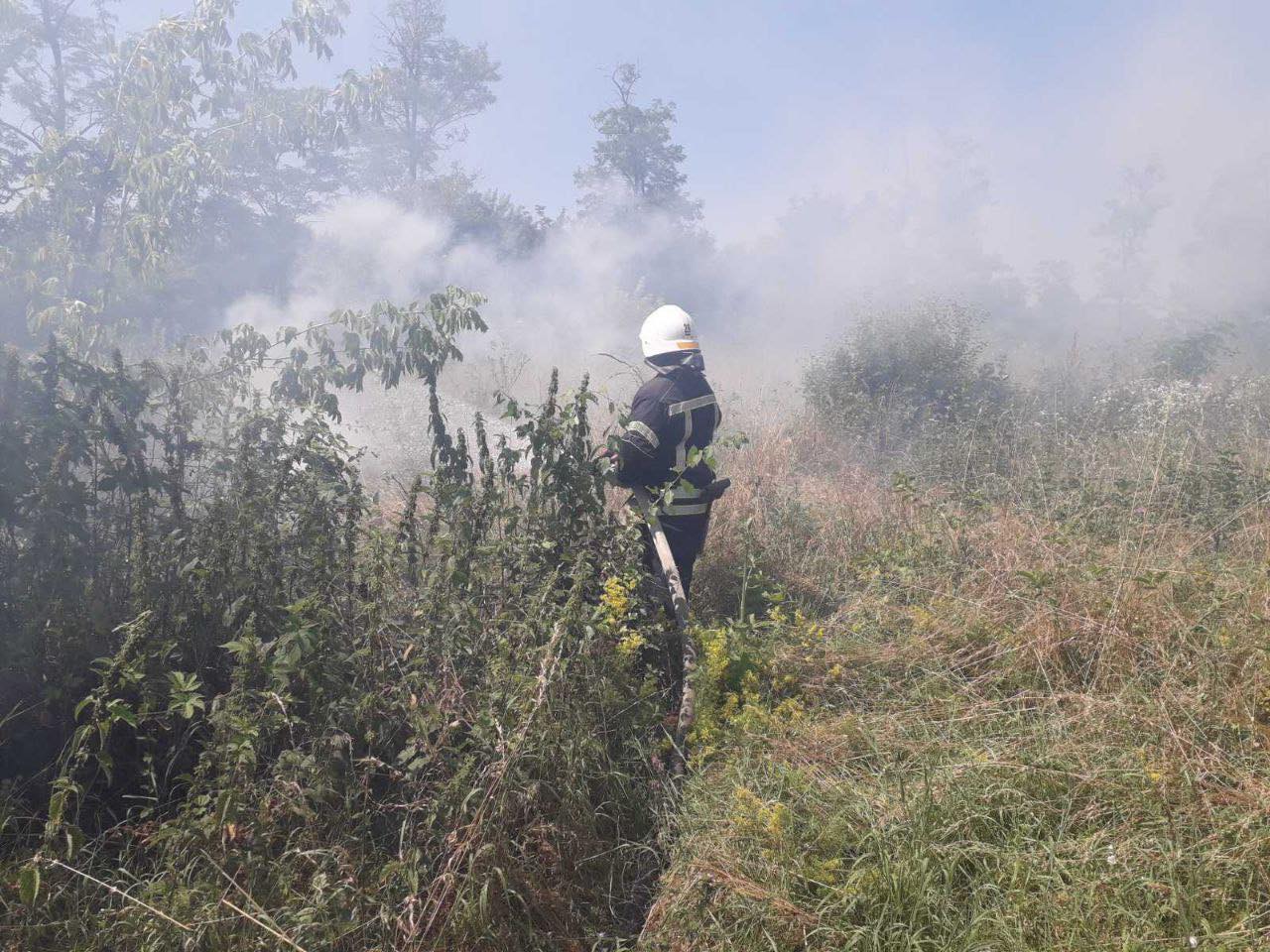 Минулої доби на Вінниччині вогонь знищив майже 7 гектарів екосистем