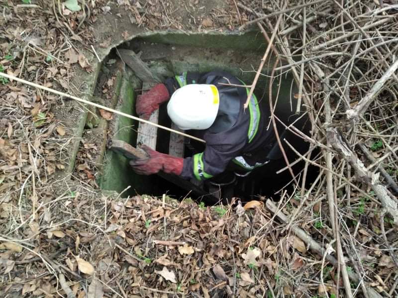 Бійці ДСНС врятували пса, який впав у водойму