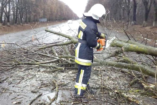 Через негоду на Вінниччині повалило дерева