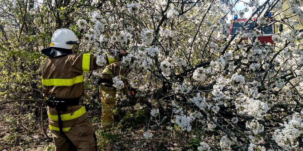 «Деревопад» на Вінниччині потрощені машини, заблоковані траси та госпіталізація 24-річного чоловіка