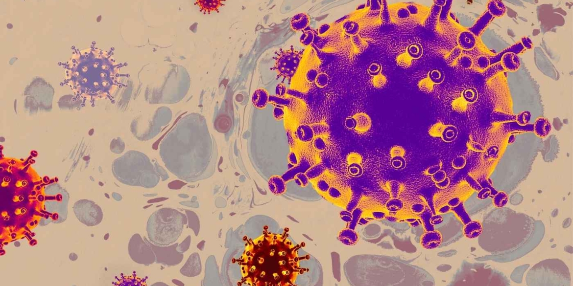 «Цикада» вже на Вінниччині у регіоні зафіксували перший випадок нового субваріанту COVID-19