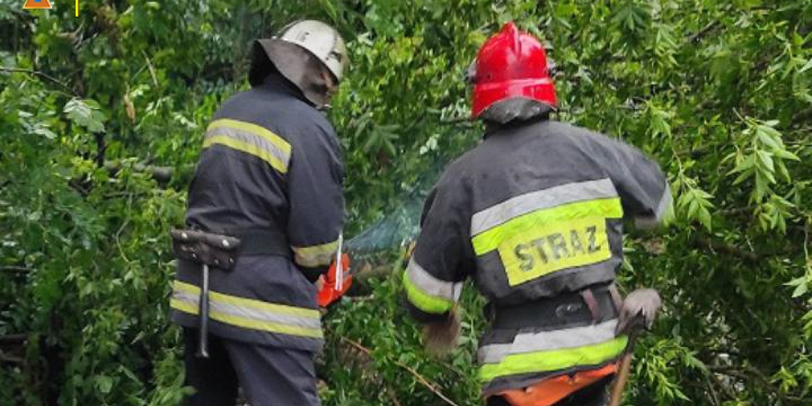 На Вінниччині рятувальники відкачували воду з підтоплених подвір’їв та прибирали повалені дерева