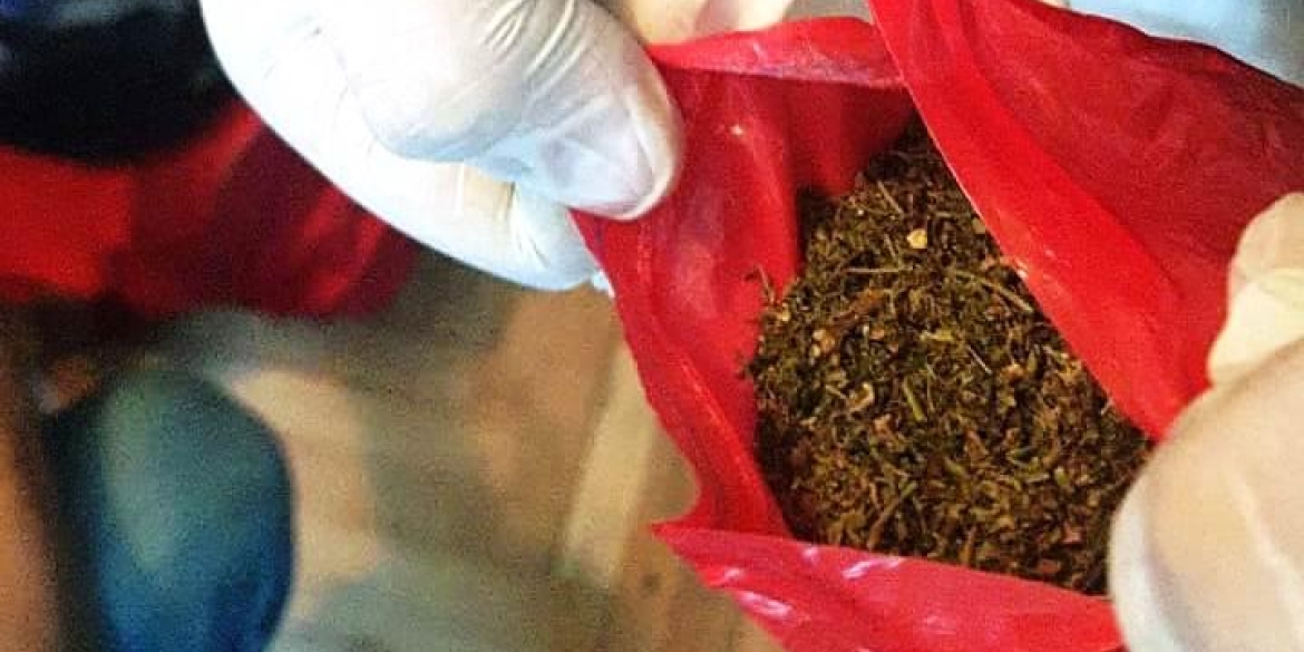 В оселі вінничанина, якого днями затримали з наркотиками, виявили майже півкілограма марихуани