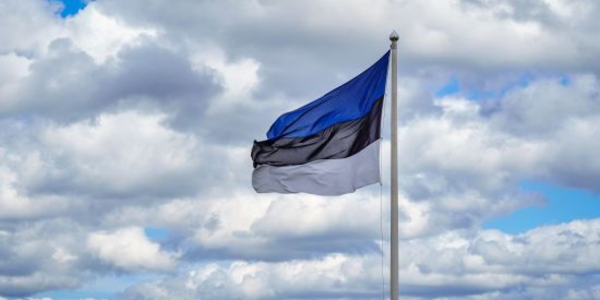 Естонія визнала злочини Росії в Україні геноцидом | ВІТА ТБ