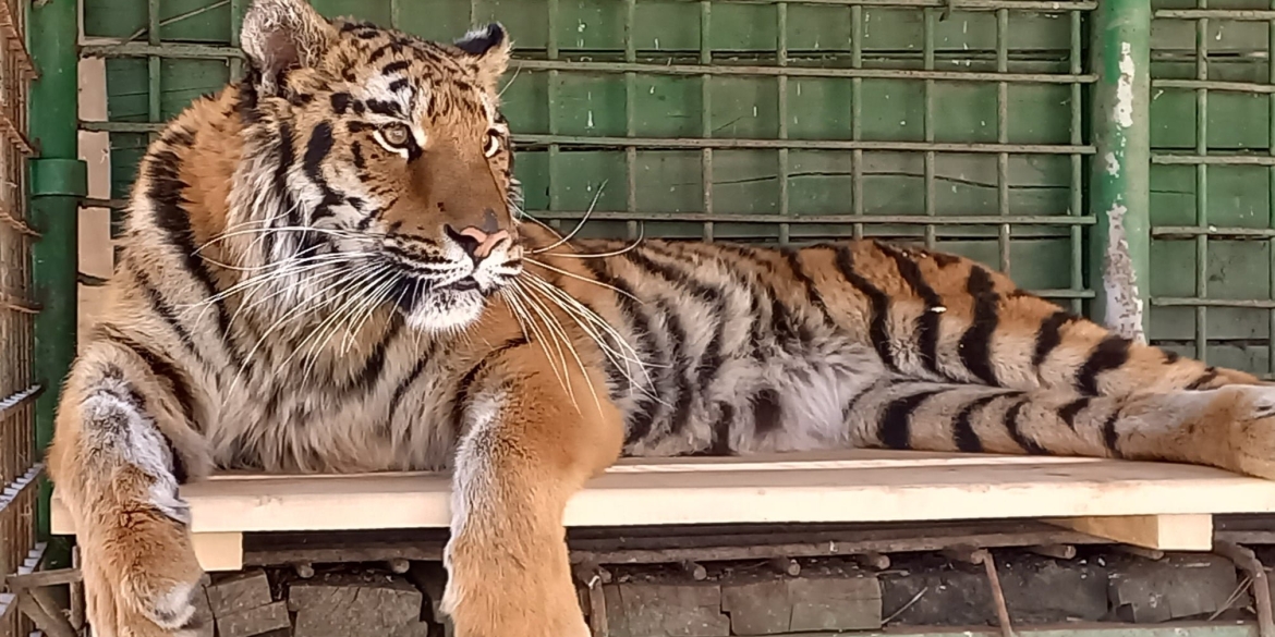 1 червня Подільський зоопарк у Вінниці можна буде відвідати безкоштовно