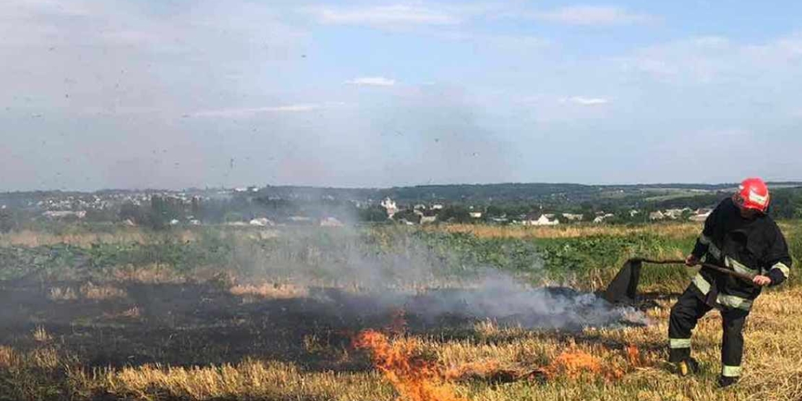 На Вінниччині через необережність з вогнем виникли пожежі в екосистемах