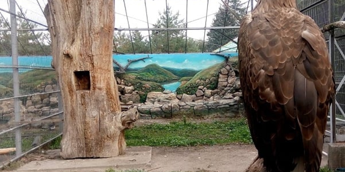 Для птахів Подільського зоопарку облаштували «види» на водоспади та гори