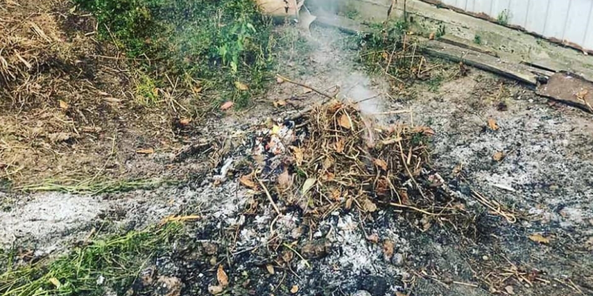 У Вінниці відновлюють роботу мобільних груп по протидії спалюванню листя