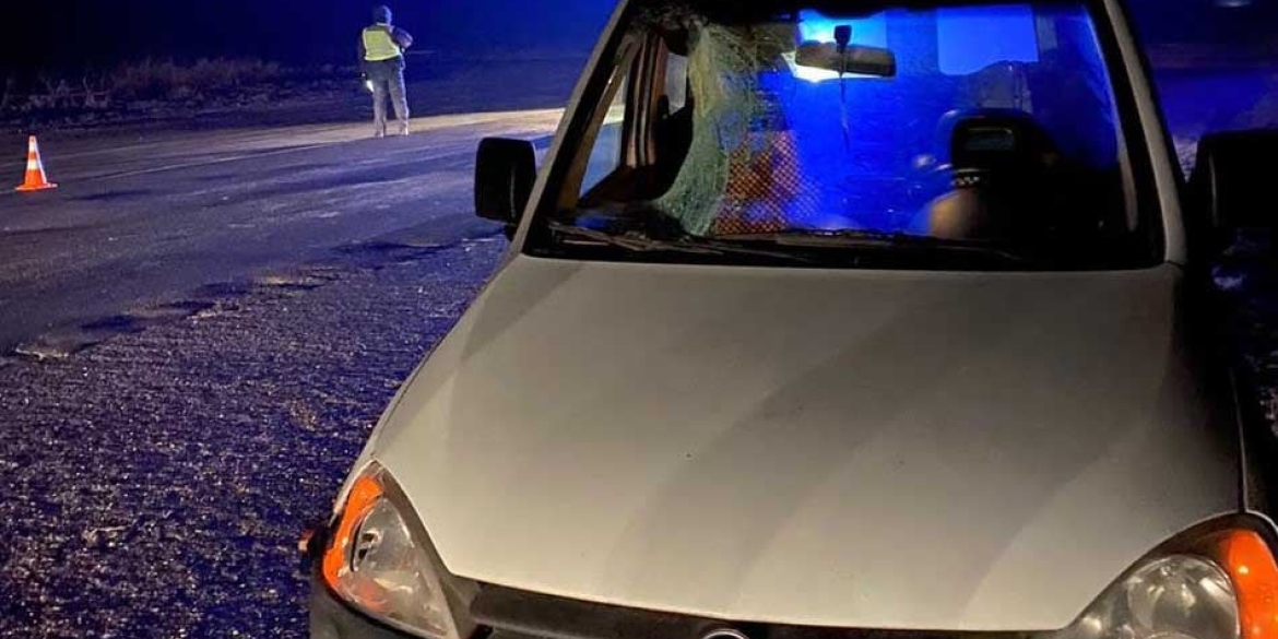 Смертельна ДТП в Липовецькому районі: поліція встановлює особу загиблого пішохода