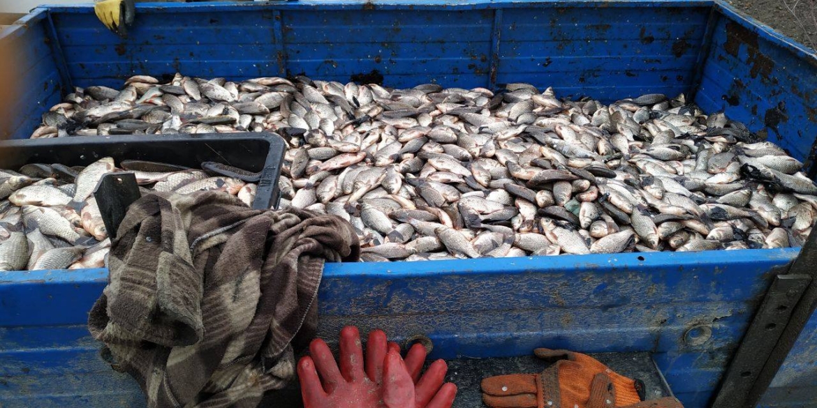 В Літинському районі чоловік виловив понад півтонни риби