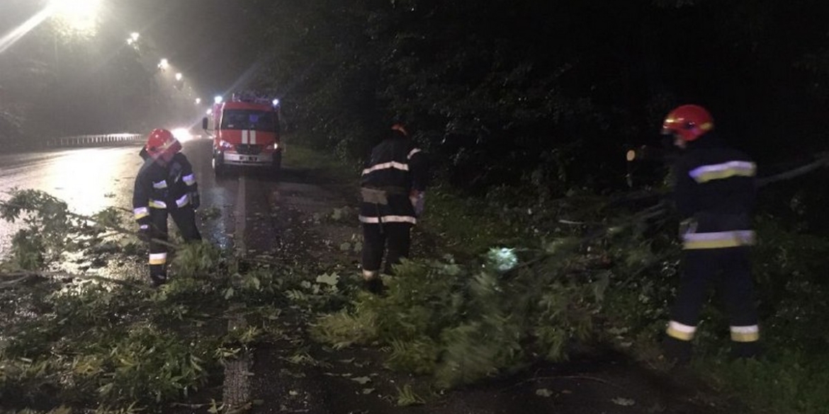На Львівському шосе у Вінниці через негоду впало дерево