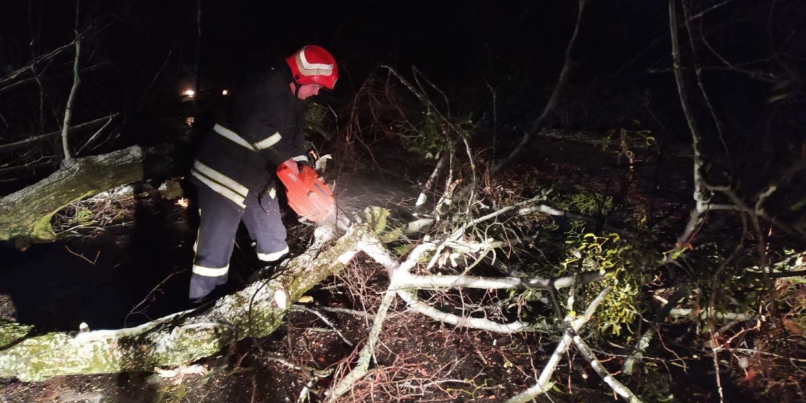 На Вінниччині повалені дерева перекрили автошляхи: викликали рятувальників