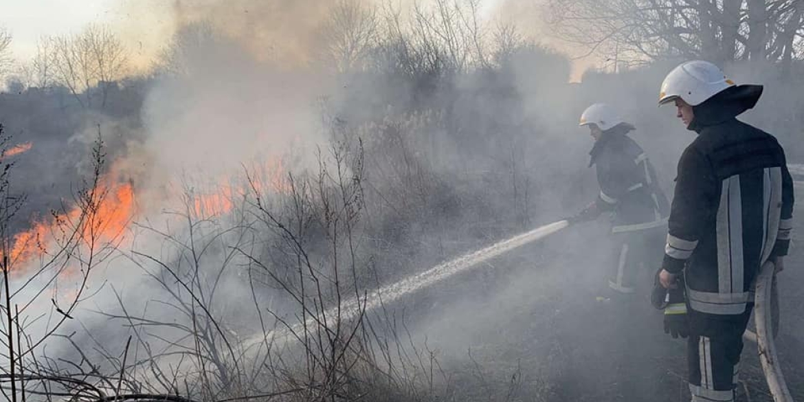 Минулої доби на Вінниччині вогонь знищив 3 гектари сухої рослинності