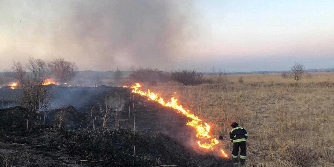 За минулу добу на Вінниччині ліквідували 11 пожеж в екосистемах