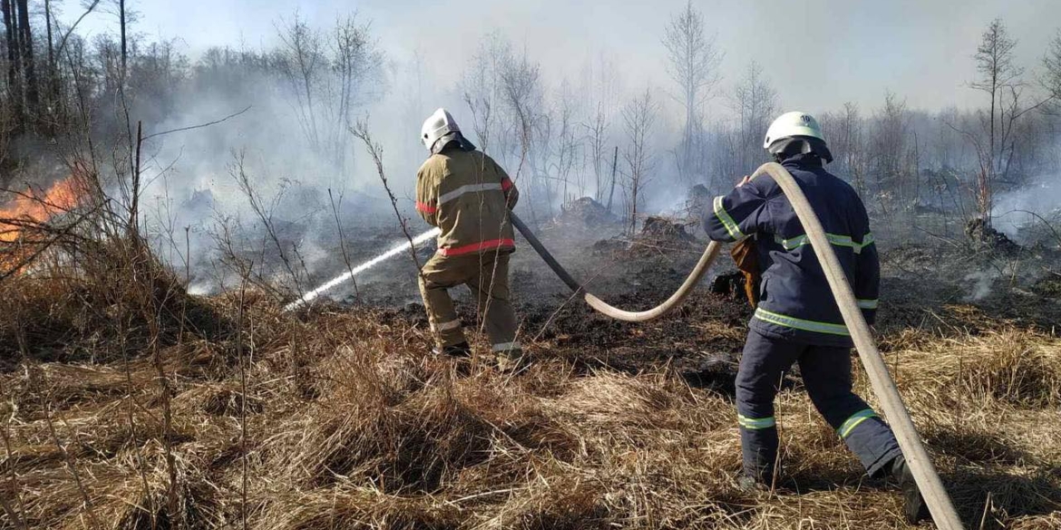 За минулу добу на Вінниччині ліквідовано 49 пожеж в екосистемах