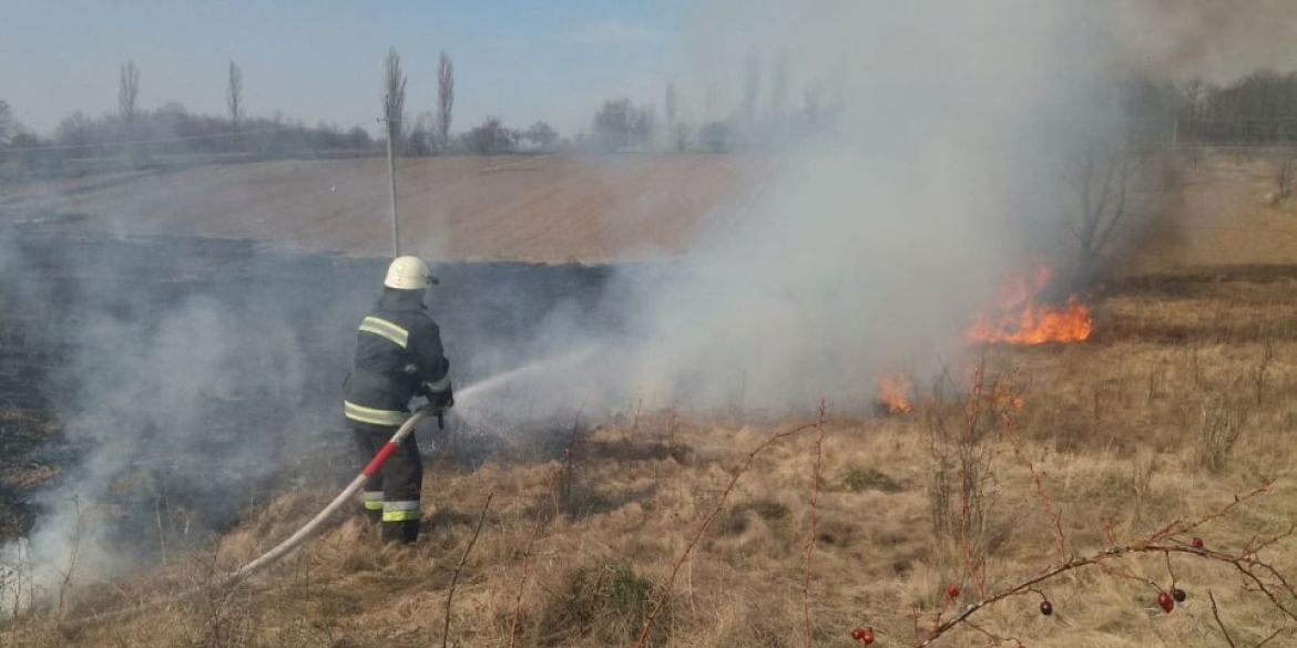 Вінницькі рятувальники продовжують боротьбу з пожежами в екосистемах