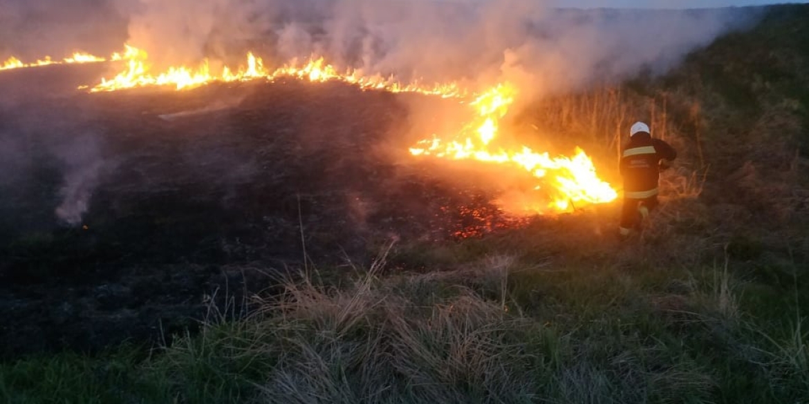На Вінниччині за добу вогонь знищив близько 6 гектарів сухого настилу