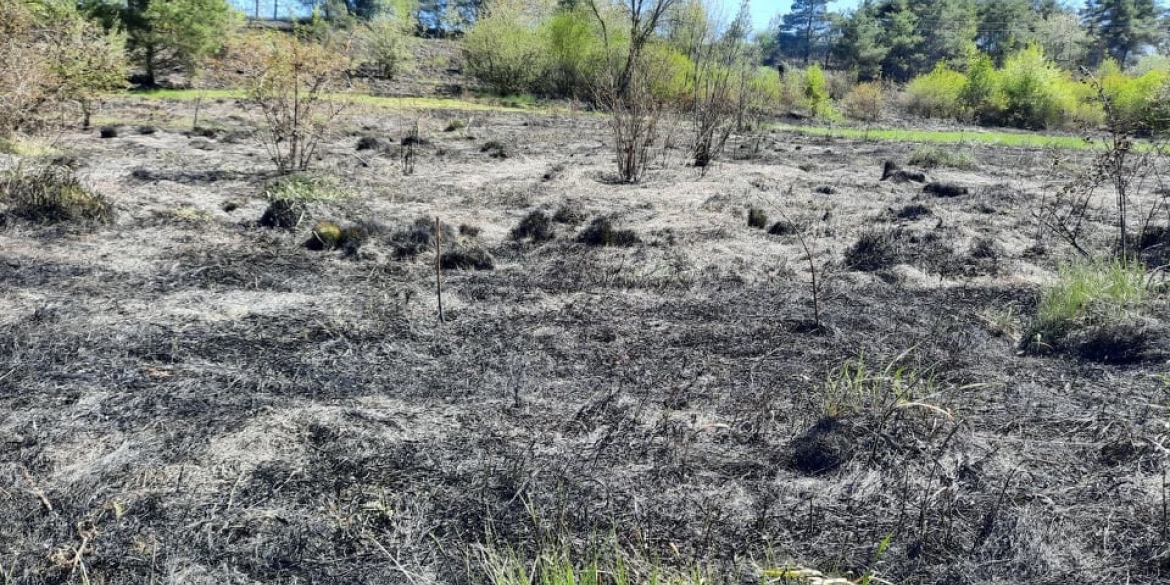6 пожеж за добу: на Вінниччині майже щодня горять екосистеми