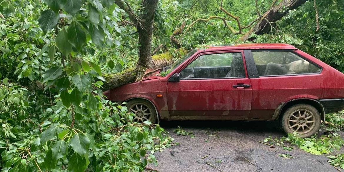 У Жмеринці повалене вітром дерево впало на автомобіль