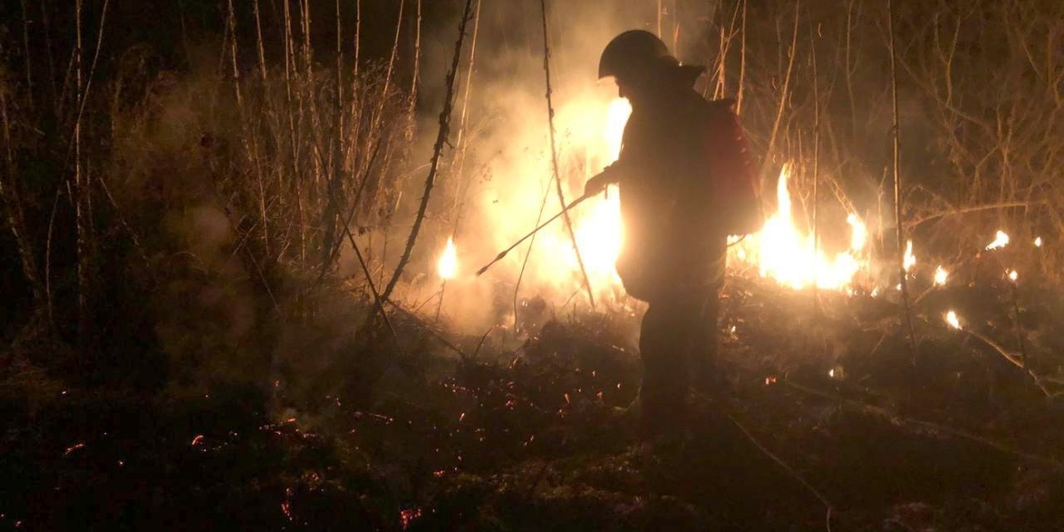 19 загорянь сухої трави, очеретів та сміття сталося на Вінниччині