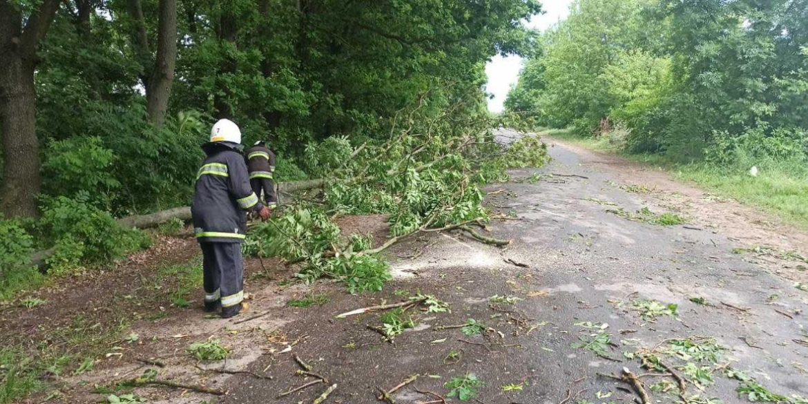Автошляхи Вінниччини звільнили від повалених вітром дерев