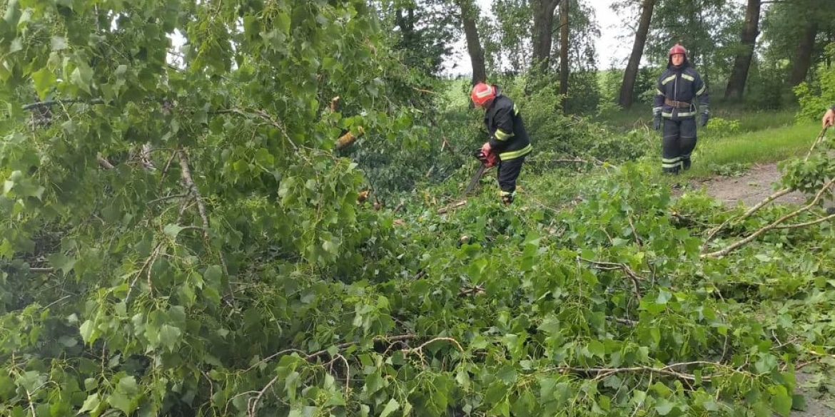 Минулої доби вінницькі рятувальники тричі прибирали з доріг повалені дерева