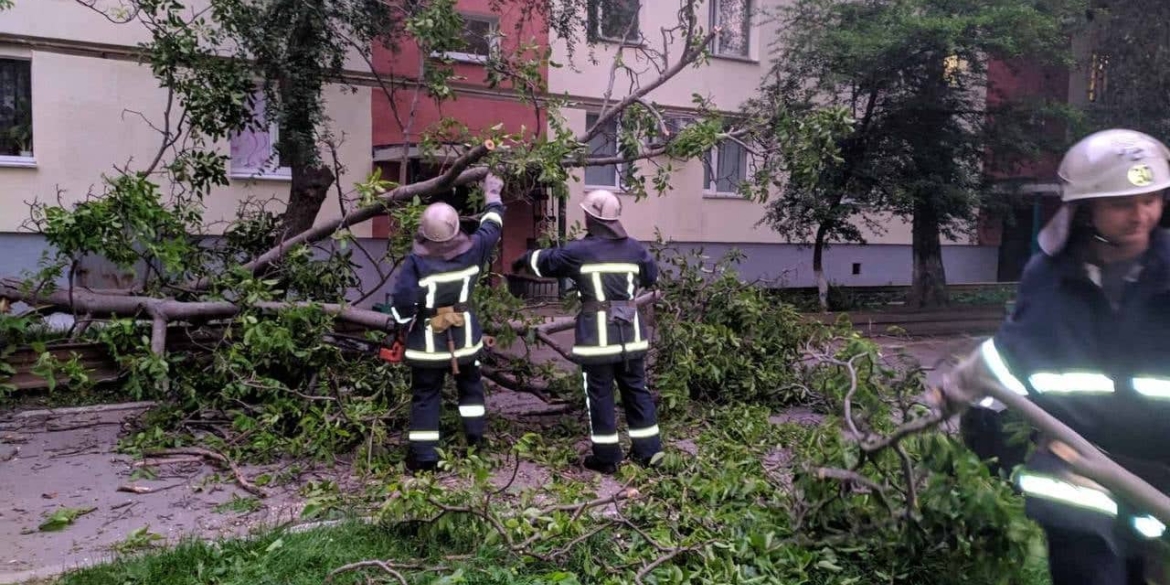 В селі Флорино від пориву вітру впало дерево, зачепивши припаркований "Мерседес"