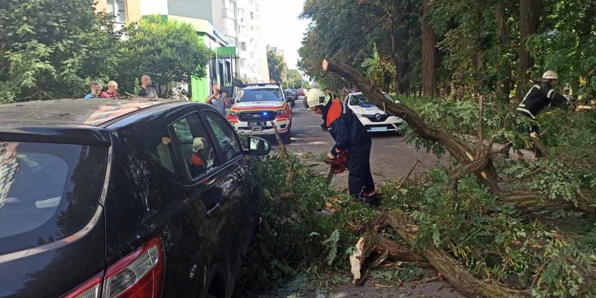 У Вінниці в районі Поділля дерево впало на автомобіль