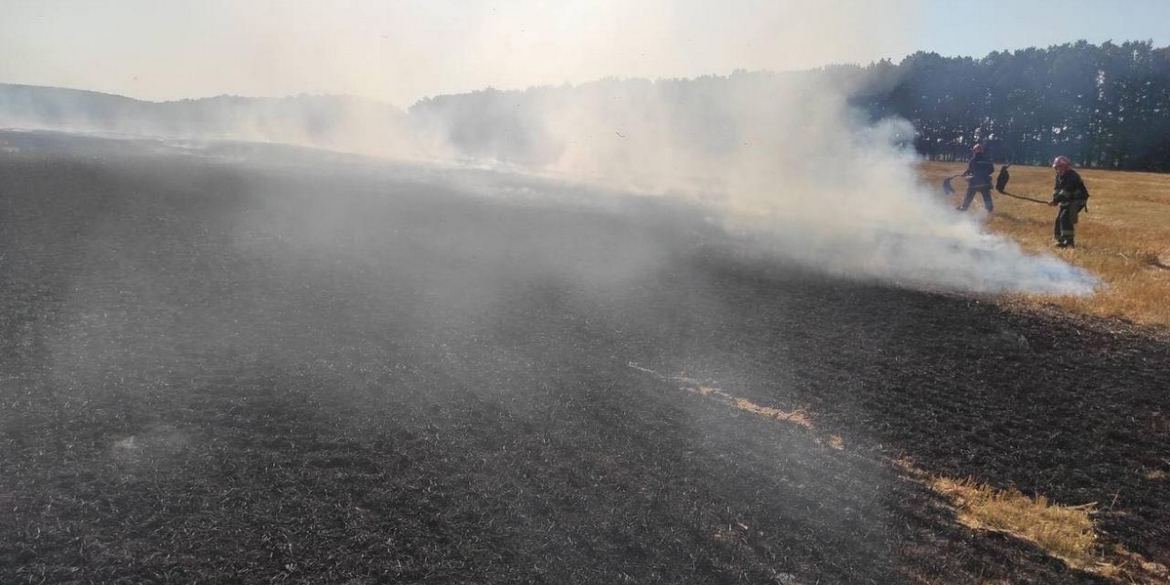 На Вінниччині вогонь знищив 11 гектарів сухої трави
