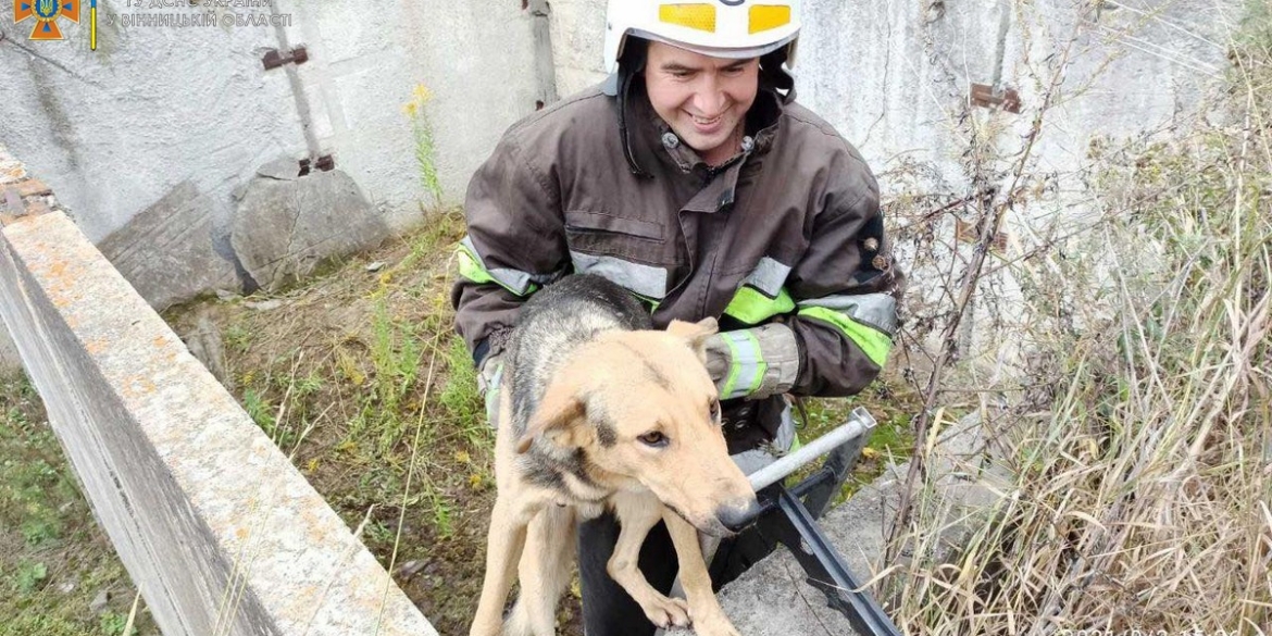 На Вінниччині рятувальники визволяли собаку з ями
