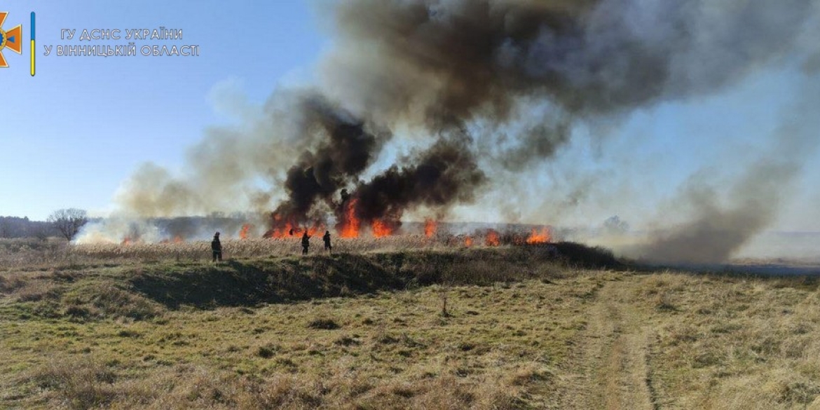 На Вінниччині ліквідували 19 пожеж в екосистемах