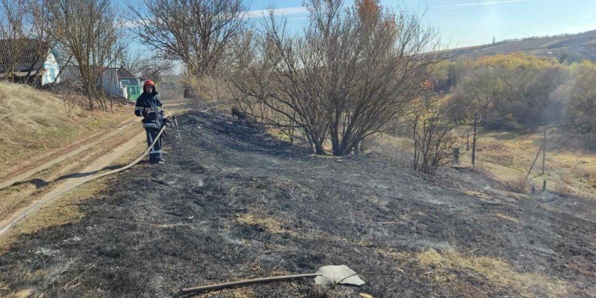 На Вінниччині за добу ліквідували вісім пожеж у екосистемах
