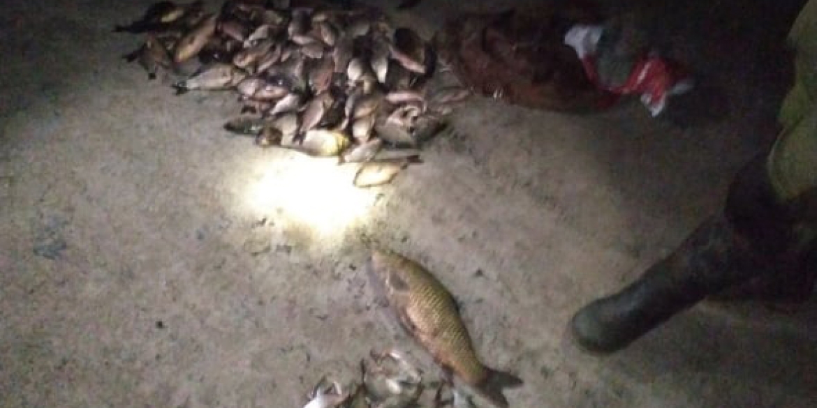 В Літинському районі чоловік в незаконний спосіб наловив риби на 6 тисяч гривень