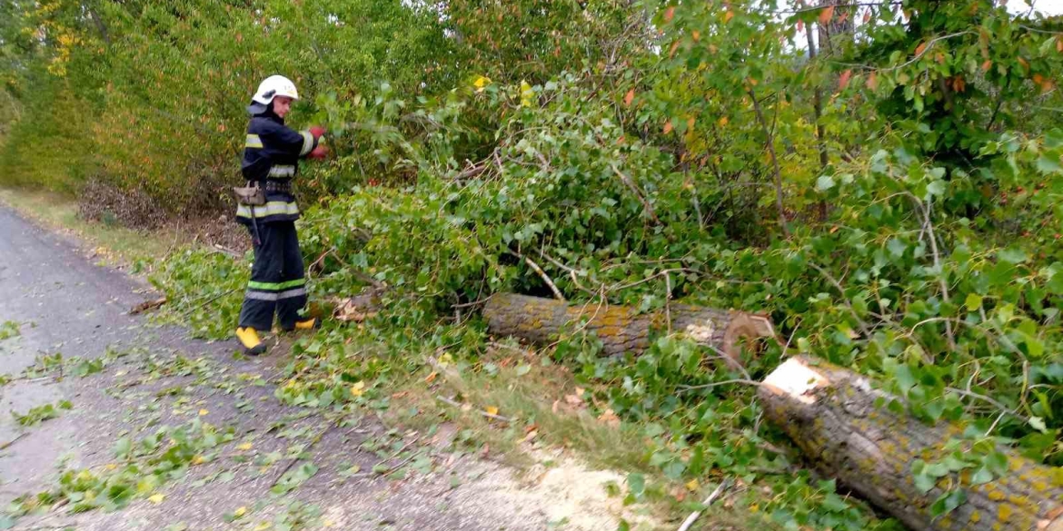 На Вінниччині рятувальники прибрали з автошляхів повалені вітром дерева