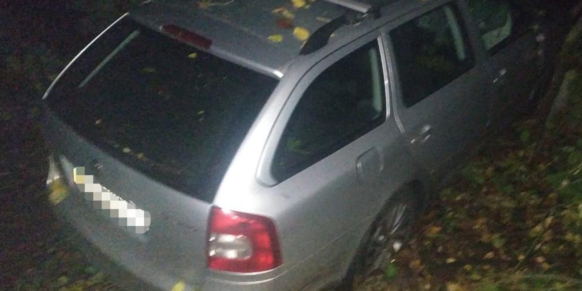 В Козятинському районі дерево впало на автомобіль, водій загинув