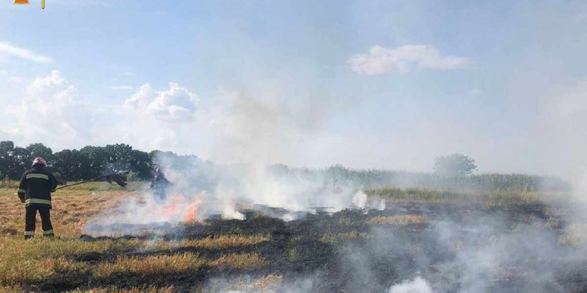 На Вінниччині через необережність з вогнем вигоріло 3 га сухої трави