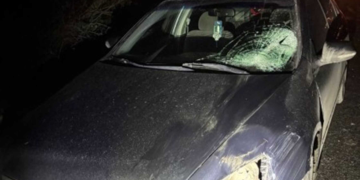 40-річна водійка на смерть збила пенсіонерку в Тульчинському районі