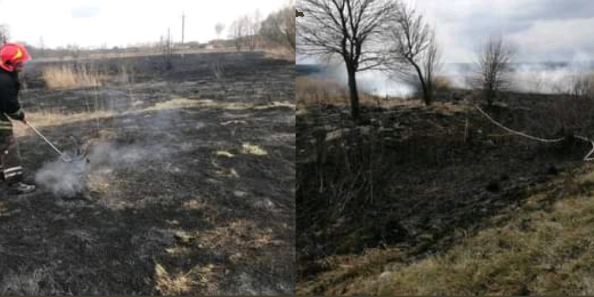 На Вінниччині через необережне поводження з вогнем за добу вигоріло два гектари сухостою