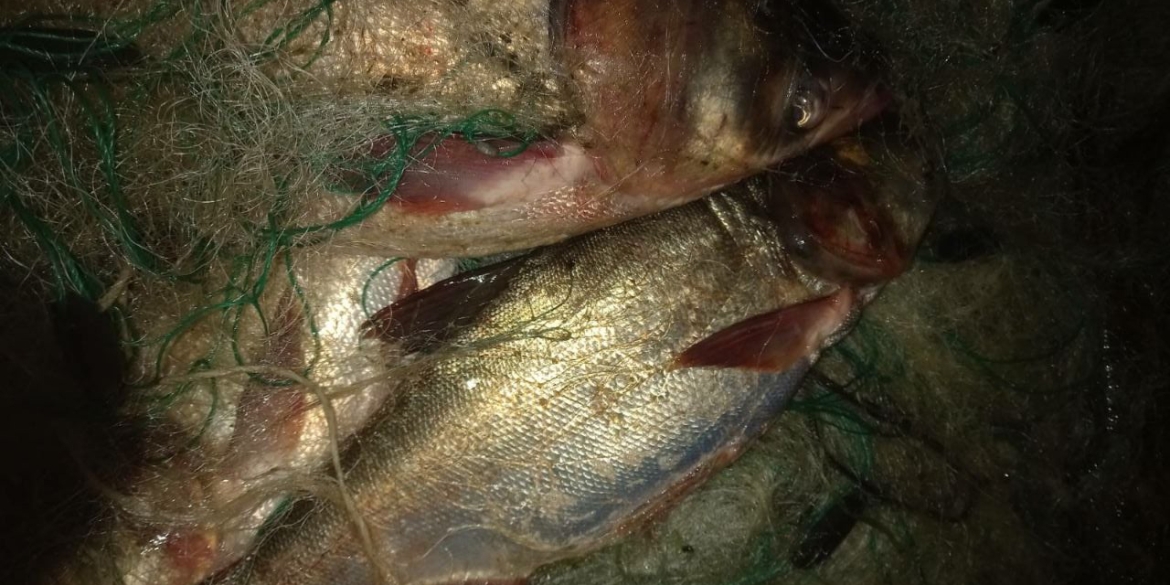 У Вінниці затримали чоловіка, який сітками наловив риби на понад 2 тис грн
