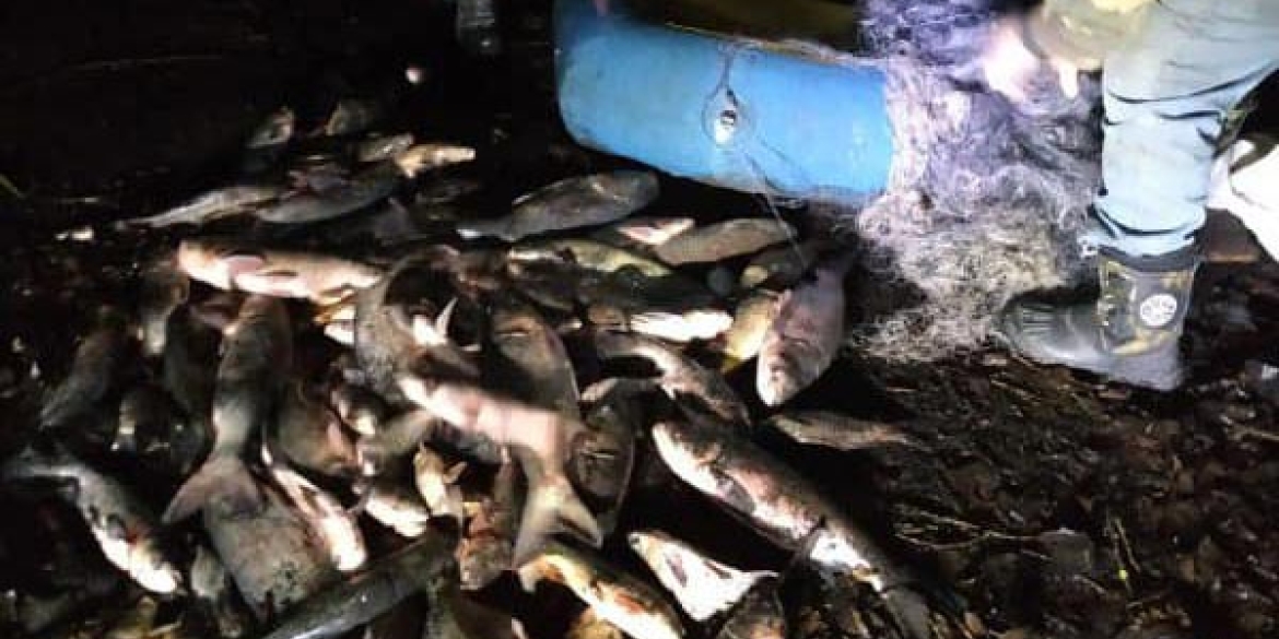 В Хмільницькому районі браконьєри наловили 73 кілограми риби 