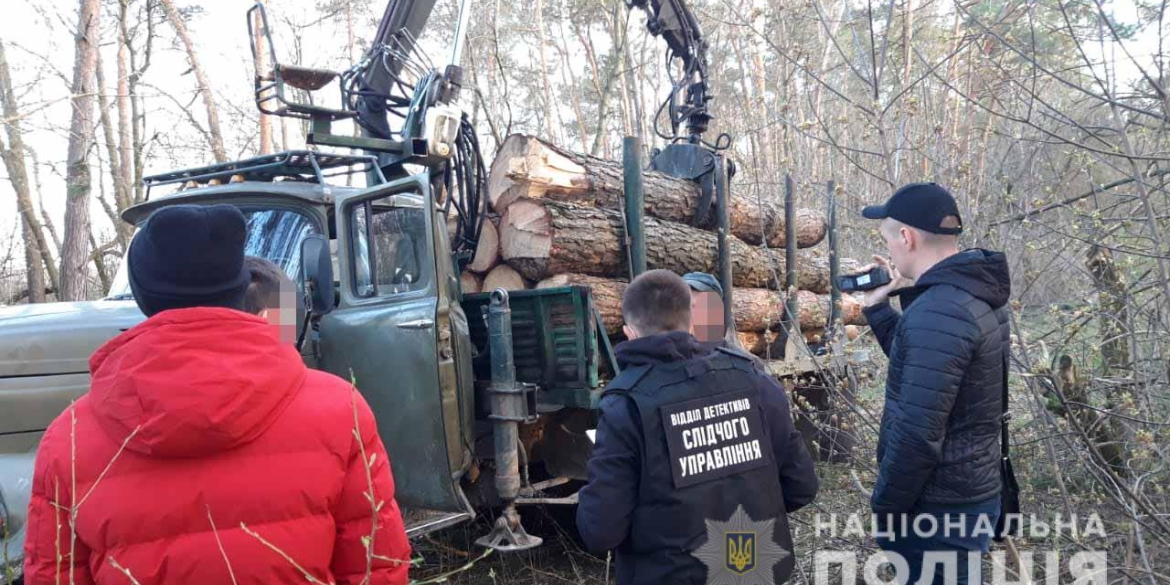 На Вінниччині посадовців одного з лісгоспів підозрюють у незаконній вирубці лісів
