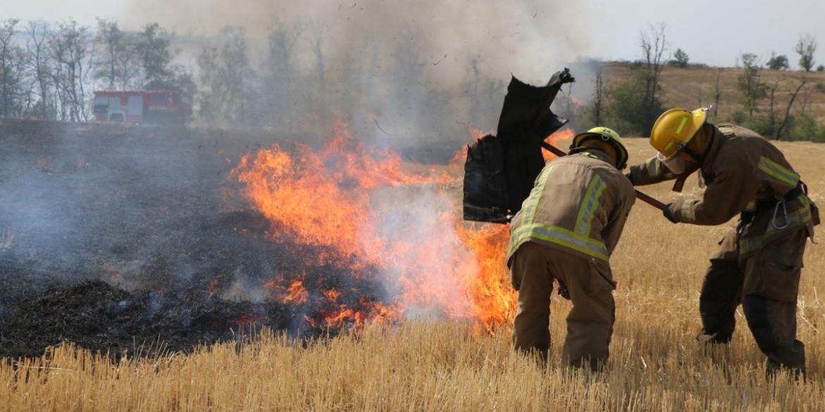 На Вінниччині ліквідували 14 пожеж в екосистемах