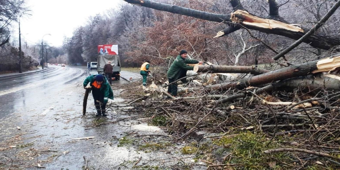 На Вінниччині рятувальники двічі за добу звільняли дороги від повалених дерев