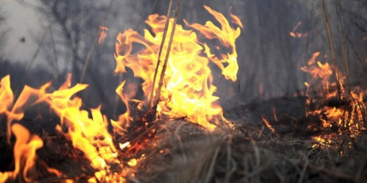 На Вінниччині вогнеборці сім разів  за добу гасили пожежі в екосистемах