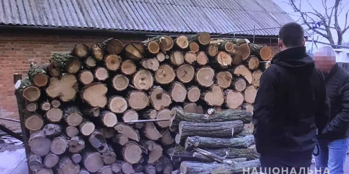 На Вінниччині вирубали понад півсотні дерев
