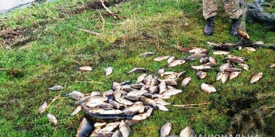 На Вінниччині браконьєри "наловили" риби на понад 65 тисяч гривень