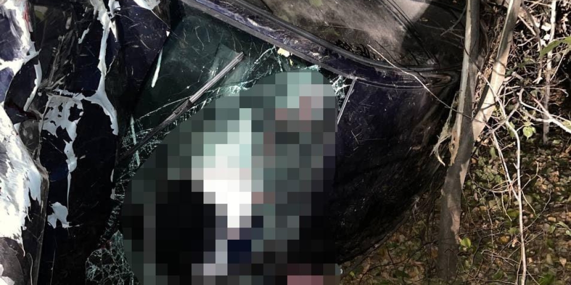 В Жмеринському районі Volkswagen в’їхав у дерево: водій загинув
