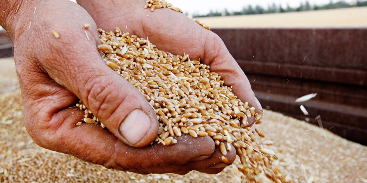 Справу вінницьких шахраїв “закупівельників зерна” передали до суду