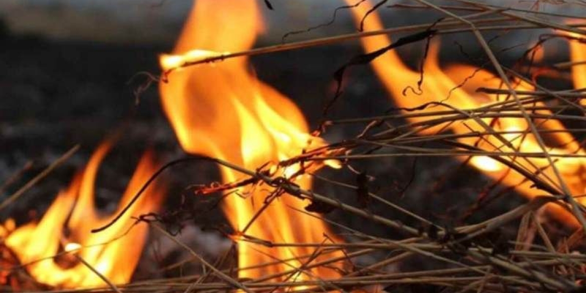 У Козятинському районі сталася пожежа: горіли тюки соломи